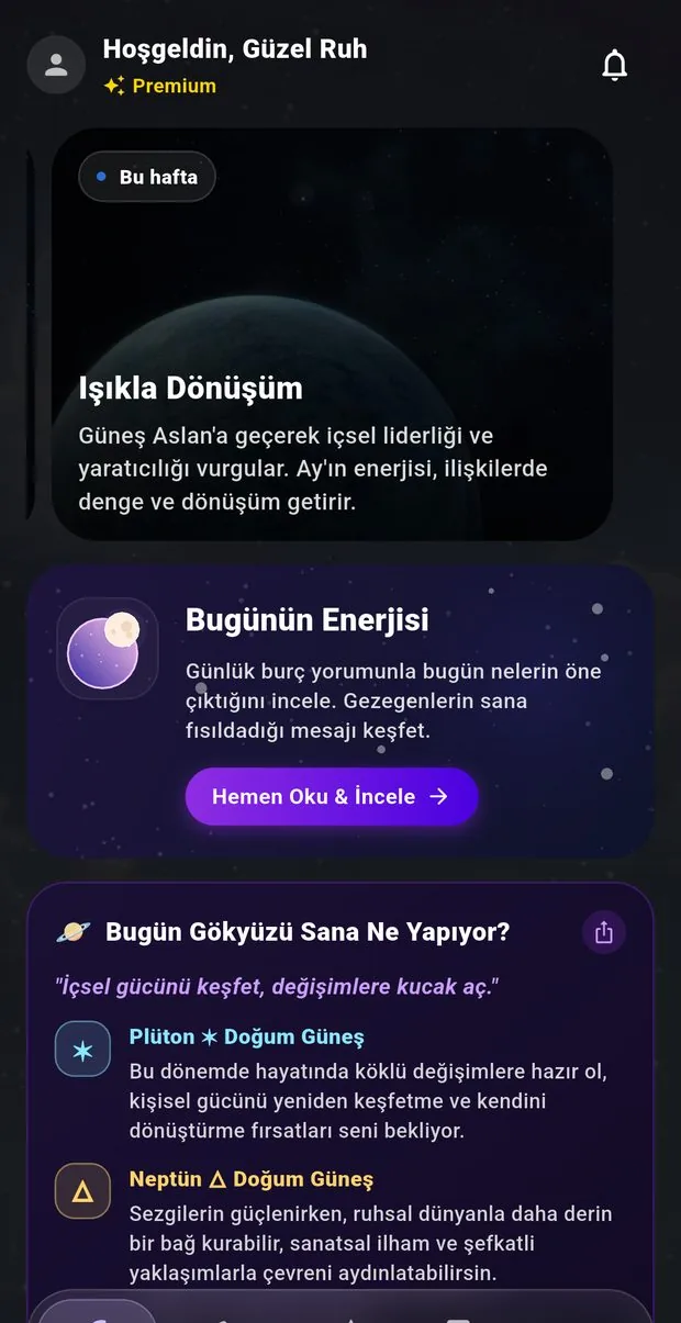 Aluna doğum haritası ekranı